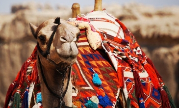 Büyülü Kahire ve İskenderiye Turu - Pegasus Havayolları İle - 2 Gece 4 Gün