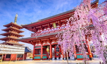 Elegant Japonya & Güney Kore Turu - Ekstra Turlar Dahil