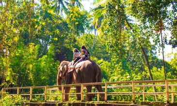 Sri Lanka Turu - AirArabia Havayolları İle - 5 Gece 8 Gün